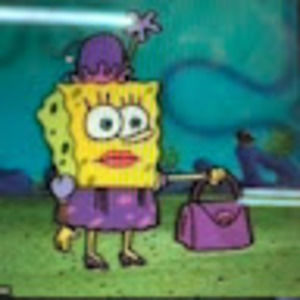 Meet your Posher, Alexa